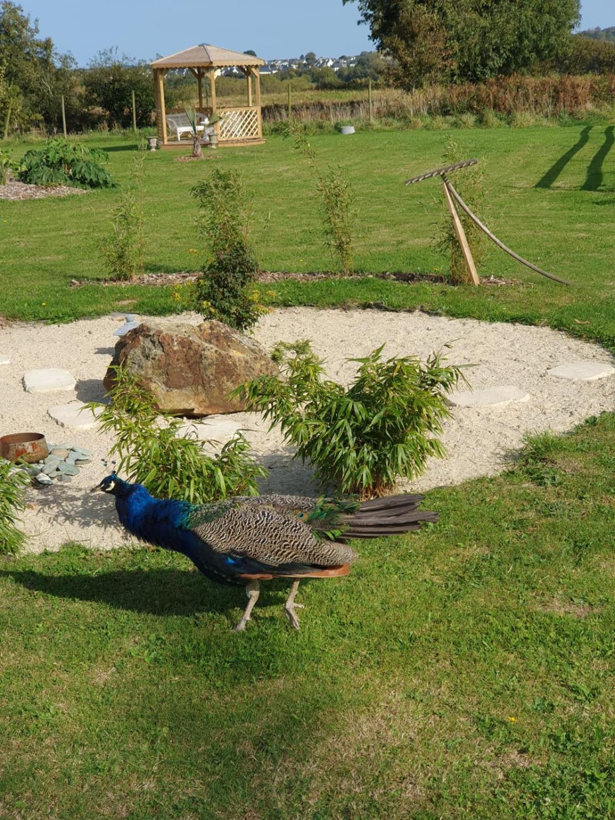 La Ferme De Lec'H Hameury Bed & Breakfast Plestin-les-Grèves Exterior foto